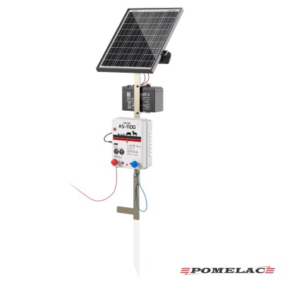 #1281 https://sp-ao.shortpixel.ai/client/to_webp,q_glossy,ret_img/https://www.pomelac.pl/wp-content/upload